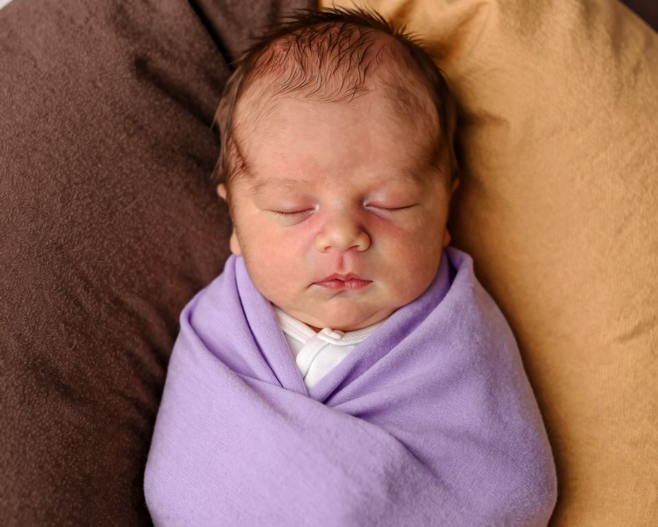 Original input photo for AI processing