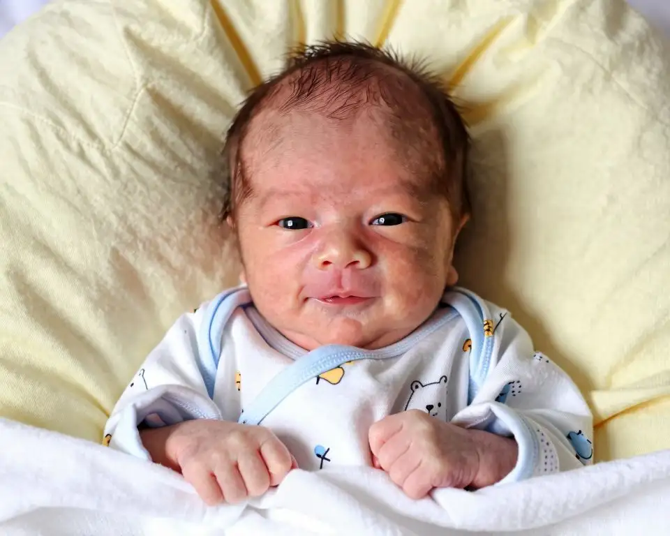 Original input photo for AI processing