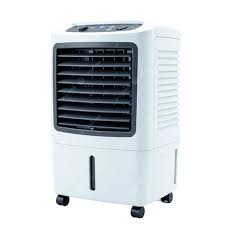 Original input photo for AI processing