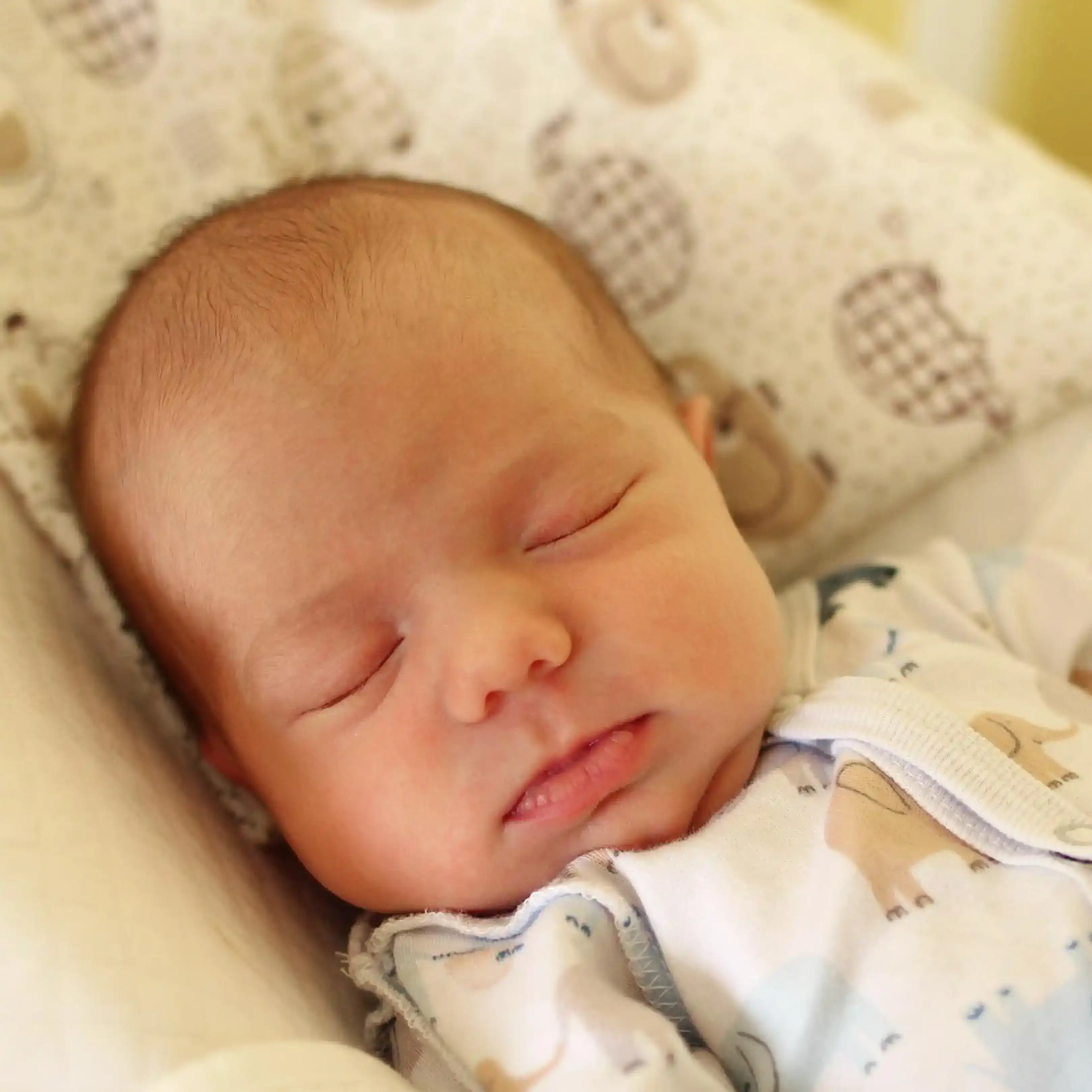 Original input photo for AI processing