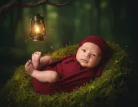 AI generated Enchanted Crimson Lantern Newborn AI Portrait Style preview