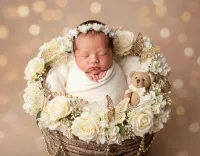 AI generated Regal Fine-Art Lullaby (Girl) | Luxury AI Newborn Portrait Style preview