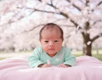AI generated Sakura Spring Baby Portrait | Professional AI Photography Style preview