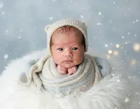 AI generated Winter Frost Newborn AI Portrait Style | Professional Baby Photos preview